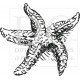 Different Colors S00107 Starfish