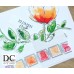 Different Colors S00674 Square Stripes