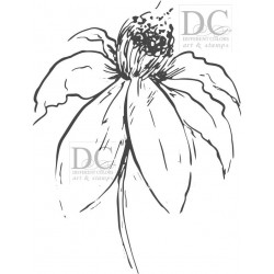 Different Colors S00657 - SU00731 Drawing Flower