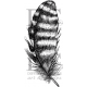 Different Colors S00356 Feather Kievit-veertjes 