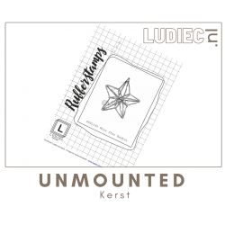 Different Colors S01140-SU1140 Wire Star Bauble