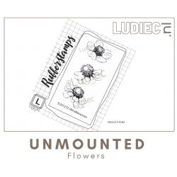 Ludiec S01272-SU01272 Set Windbloemen 3 stuks
