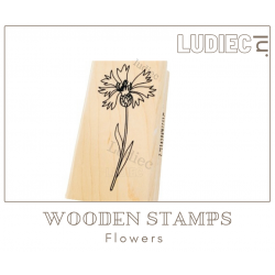 Different Colors S00946-SU00946 Little Cornflower-Korenbloem