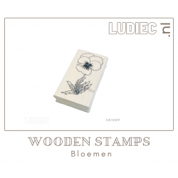 Different Colors S01009 Viooltje Different Colors S01009 Viooltje