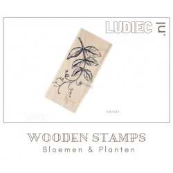 Different Colors S01037-SU01037 Sweet Peas Leaf Different Colors S01037-SU01037 Sweet Peas Leaf