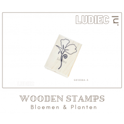 Different Colors S01038 A1 Sweet Peas Flower1 Lathyrus