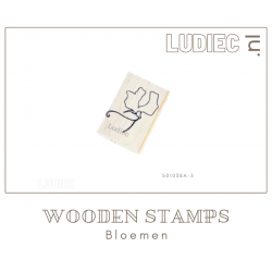 Different Colors S01038 A3 Sweet Peas Flower3 Different Colors S01038 A3 Sweet Peas Flower3