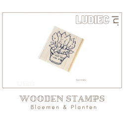 Different Colors SU01050-S01050 Celosia 