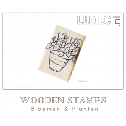 Different Colors SU01053-SU01053 Bellis perennis-Wild madeliefje 