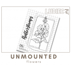 Different Colors SU00948 Stokroos Different Colors SU00948 Stokroos