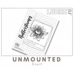 Different Colors SU00962-S00962 Passiebloem-Passiflower Different Colors SU00962-S00962 Passiebloem-Passiflower