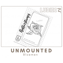 Different Colors S01012 Rosa Fortuna Different Colors S01012 Rosa Fortuna