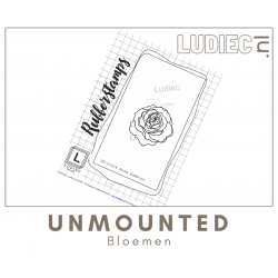 Different Colors S01014 Rosa Bambino Different Colors S01014 Rosa Bambino