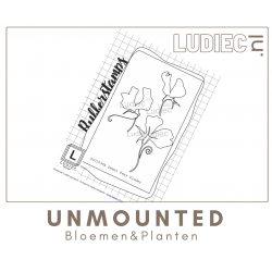 Different Colors S01038A -SU01038 A Sweet Peas Flower Set 3 stuks 