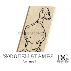 Different-Colors-SU00918-S00918-Eend