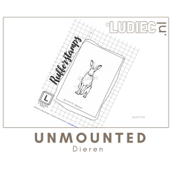 Ludiec S01175-SU01175 Haasje 