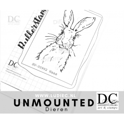 Different Colors SU00915 -S00915 Haas