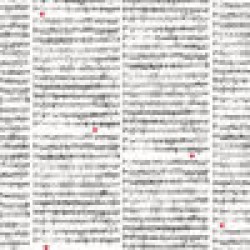 Planner A5 muziek noten Planner A5 muziek noten