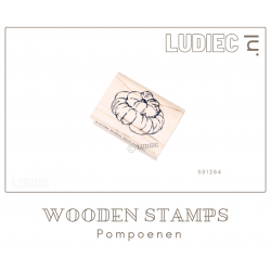 Ludiec S01284-SU01284 Turkse Muts pompoen