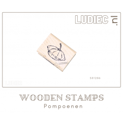 Ludiec S01286-SU01286 Kleine Patisson pompoen 