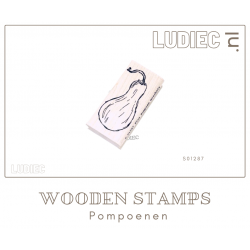 Ludiec S01287-SU01287 Fles pompoen muscata