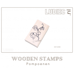 Ludiec S01288-SU01288 Pompoen Bloesem