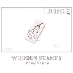 Ludiec S01291-SU01291 Fles Pompoen Cosmos