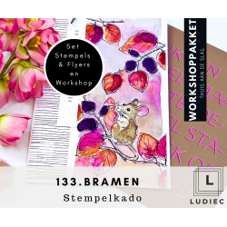  133.  Workshoppakket Bramen