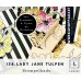  134. Workshoppakket-Lady -Jane-Tulpen 