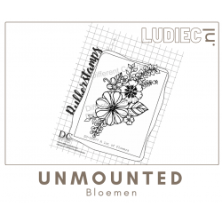 Different-Colors-SU00977-S00977-a-lot-of-flowers